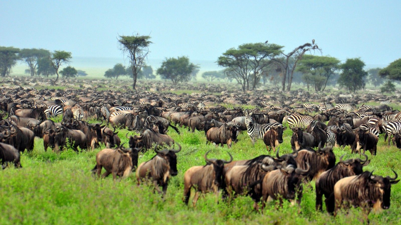 Samburu Kenya