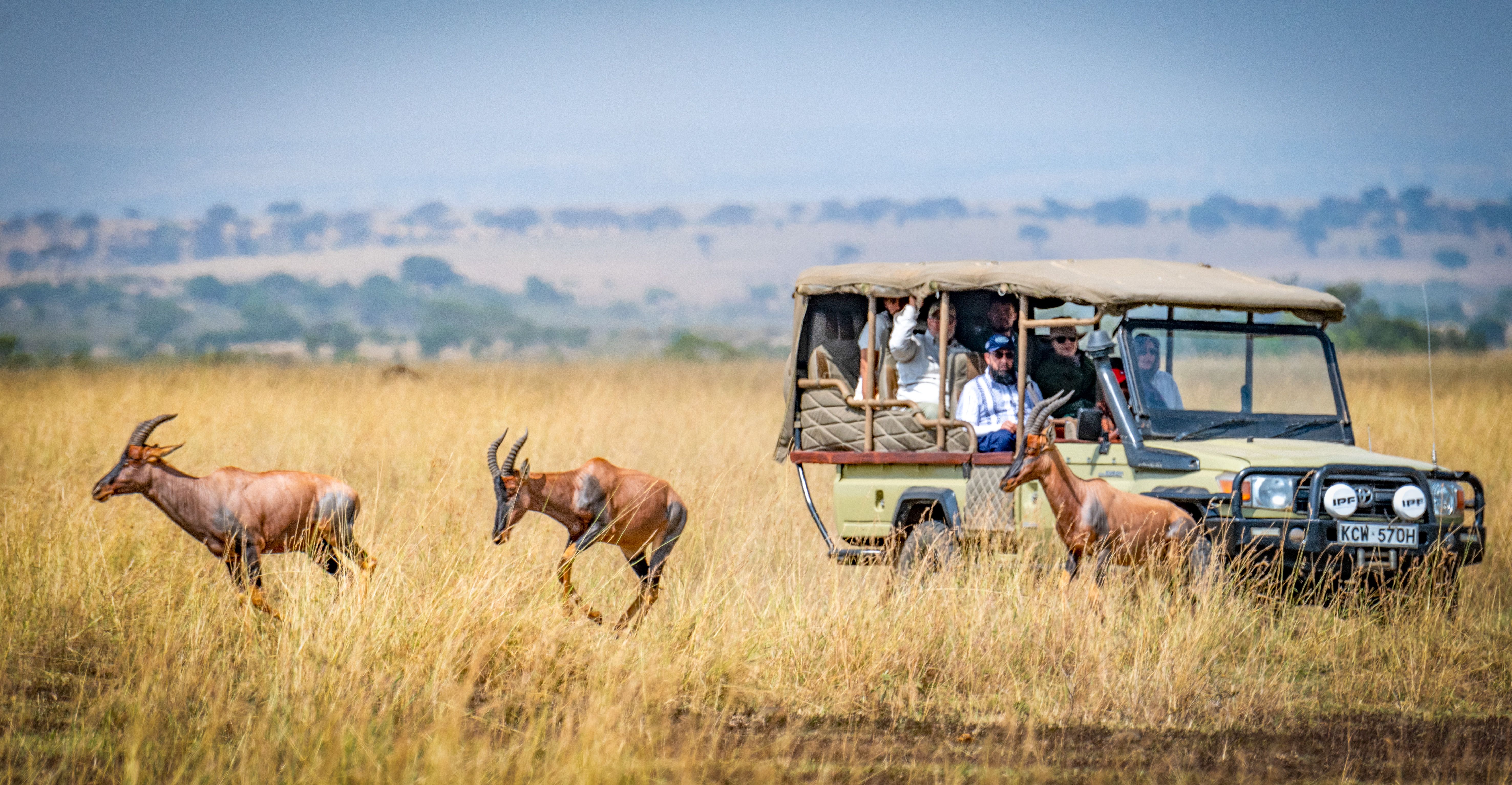 3 Days Masai Mara Wildlife Safari