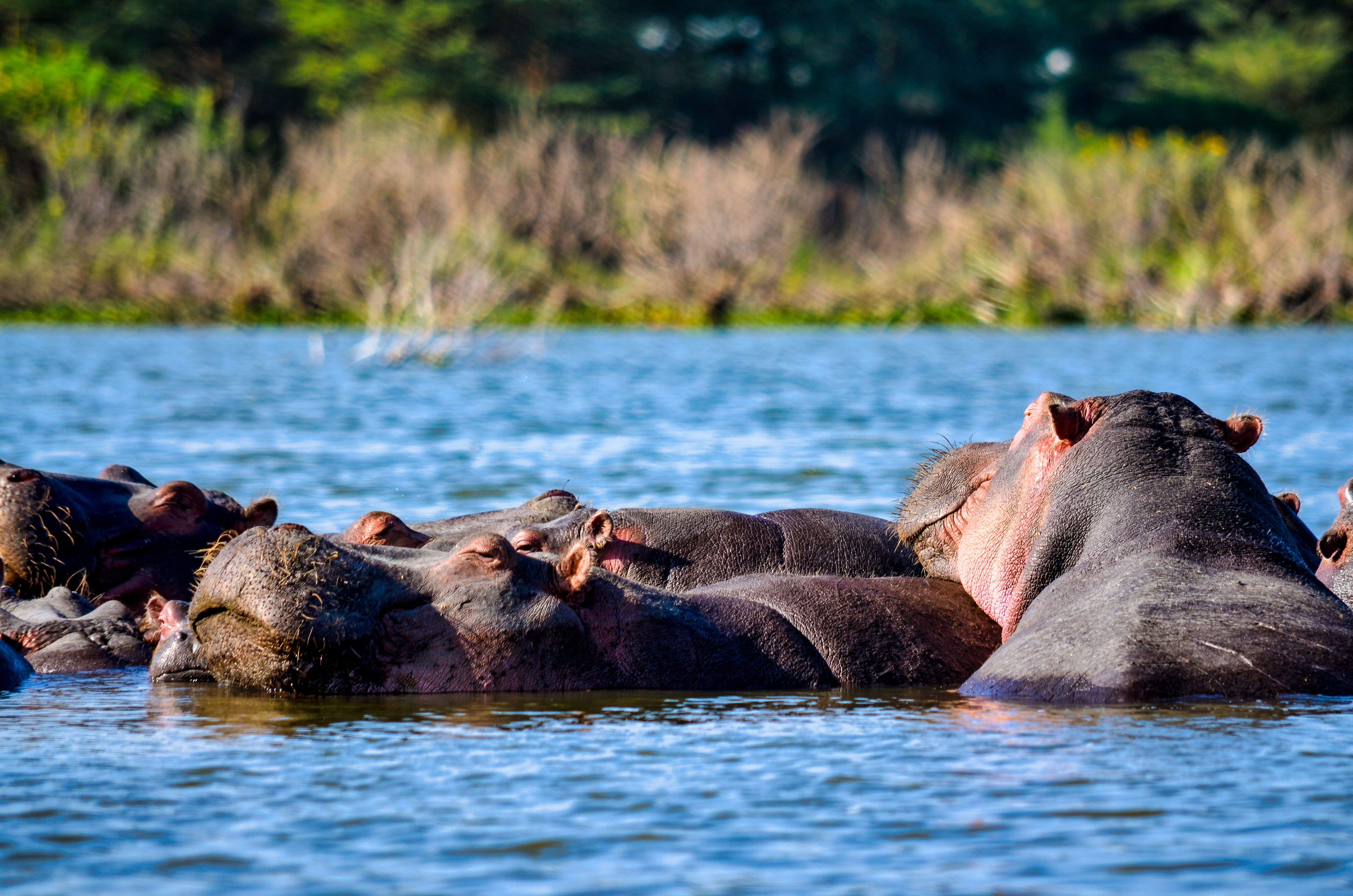 8 Days Luxury Kenya Safari